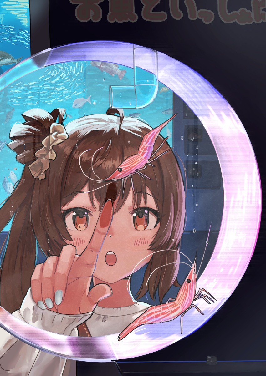 1girl absurdres against_glass ahoge aquarium blue_nails blush brown_eyes brown_hair bubble cevio fish hair_bun hair_ornament hair_scrunchie hand_on_glass highres open_mouth satou_sasara school_of_fish scrunchie shiyomifu shrimp side_ponytail single_side_bun solo teeth textless_version upper_teeth_only
