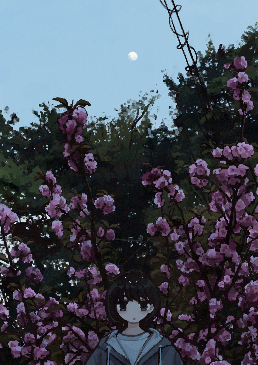 1girl absurdres black_eyes black_hair blue_sky commentary_request flower gibbous_moon grey_hoodie highres hood hood_down hoodie looking_at_viewer moon moon_in_daylight original plant plant_focus power_lines purple_flower scenery shirt short_hair sky solo straight-on tree uniunimikan white_shirt wide_shot