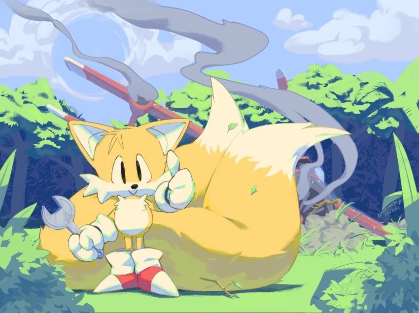 1boy aircraft airplane animal_ears animal_nose artist_name biplane black_eyes blue_sky body_fur broken bush child closed_mouth cloud dated day forest fox_boy fox_ears fox_tail full_body furry furry_male gloves grass hand_up happy highres holding holding_wrench hole kansokusha large_tail leaf leaf_on_head looking_at_viewer male_focus multiple_tails nature outdoors red_shoes shoes signature sky smile smoke socks solo sonic_(series) standing tail tails_(sonic) thumbs_up tornado_(airplane)_(sonic) tree twig twitter_username two-tone_fur two_tails white_fur white_gloves white_socks wreckage wrench yellow_fur