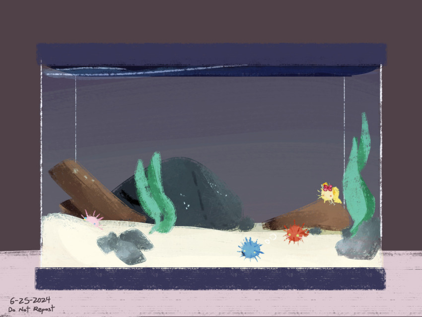 animal animal_focus animalization bocchi_the_rock! bocchidaily bow commentary cube_hair_ornament dated english_commentary fish_tank gotoh_hitori hair_bow hair_ornament highres ijichi_nijika kita_ikuyo no_humans red_bow sea_urchin spines yamada_ryo