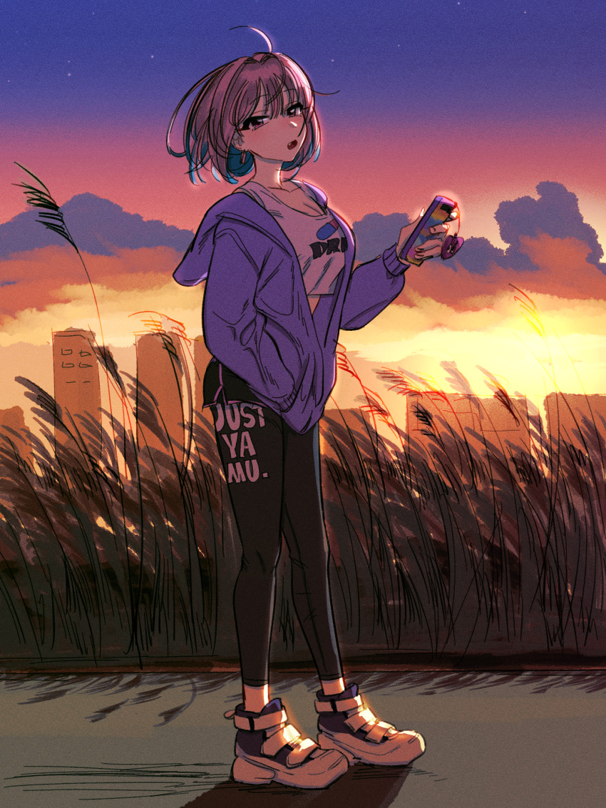 1girl :o ahoge black_leggings black_shorts blue_hair brand_name_imitation breasts cleavage crop_top expressionless fang floating_hair full_body hand_in_pocket highres hobgoblin-kim holding holding_phone hood hoodie idolmaster idolmaster_cinderella_girls large_breasts leggings leggings_under_shorts looking_at_viewer multicolored_hair nike_(company) outdoors pantyhose phone pink_hair print_shirt purple_hoodie reeds shirt shoes short_hair shorts sneakers solo sunset two-tone_hair yumemi_riamu