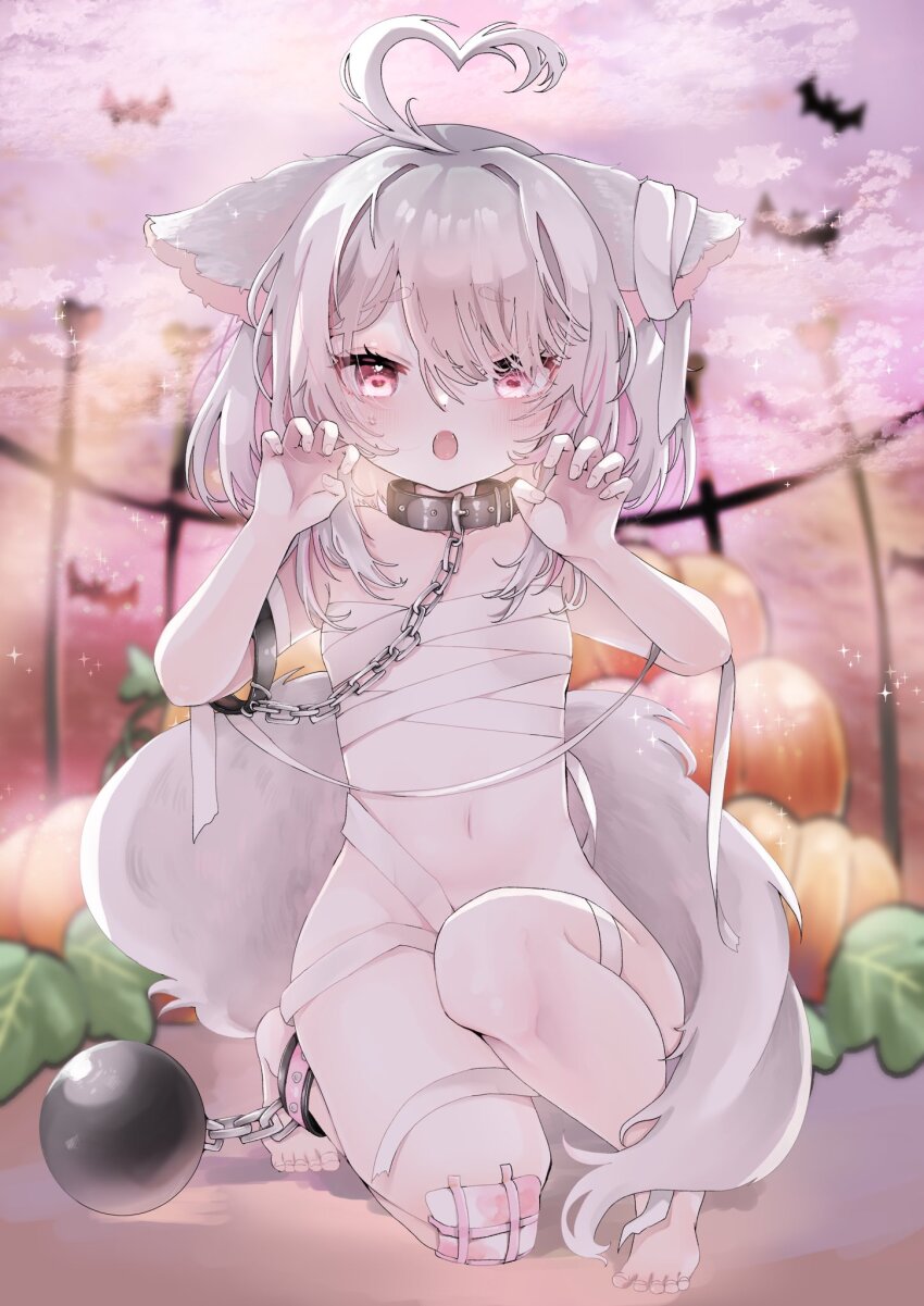 1girl :o animal_ears ball_and_chain_restraint bandaged_chest bandages bat_(animal) bdsm blurry bondage bondage_cuffs bound breasts cat_ears cat_girl cat_tail chain chain_leash chicora claw_pose collar depth_of_field fangs full_body gauze_on_knee highres holding_own_leash indie_virtual_youtuber kneeling leash loli looking_at_viewer medium_hair multicolored_hair naked_bandage navel open_mouth pink_eyes pink_hair pumpkin raised_inner_eyebrows roa_(vtuber) second-party_source slave small_breasts stomach streaked_hair tail two-tone_hair virtual_youtuber white_hair