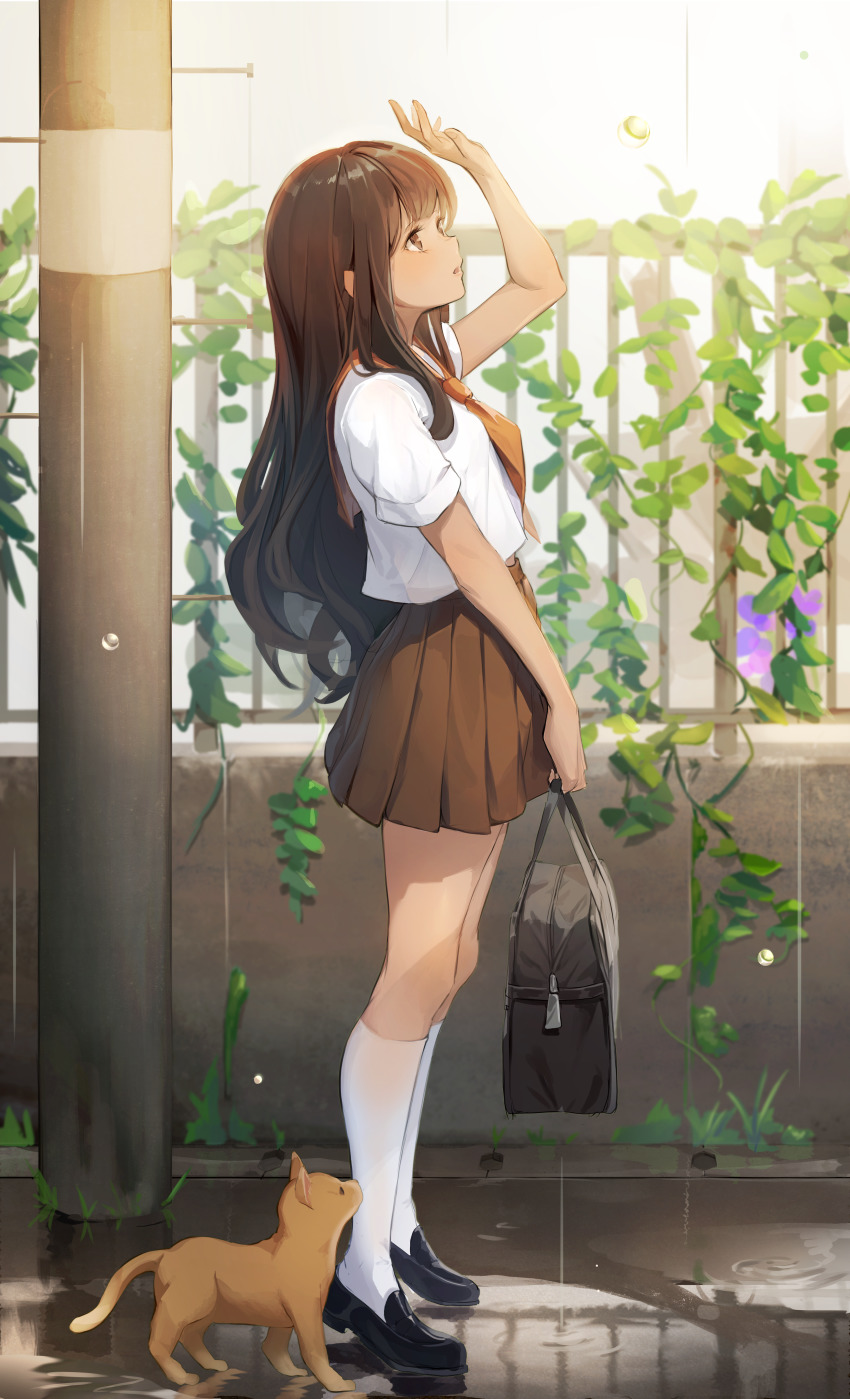 1girl absurdres arm_up bag black_shoes brown_eyes brown_hair brown_neckwear brown_sailor_collar brown_skirt cat commentary dampi english_commentary flower from_side full_body highres holding holding_bag kneehighs loafers long_hair looking_away open_mouth original outdoors parted_lips plant pleated_skirt railing rain ripples sailor_collar school_bag school_uniform serafuku shirt shoes sidewalk skirt socks solo standing utility_pole vines white_shirt white_socks
