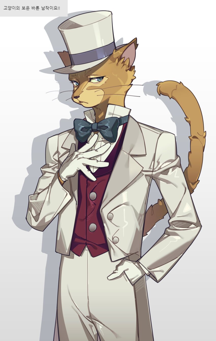 1boy absurdres blue_bow blue_bowtie blue_eyes bow bowtie cat_boy chulsukboo commentary_request cowboy_shot gloves hand_in_pocket hat highres korean_commentary korean_text male_focus neko_no_ongaeshi red_vest shadow simple_background solo tail tailcoat the_baron_(mimi_wo_sumaseba) vest whiskers white_background white_gloves white_hat