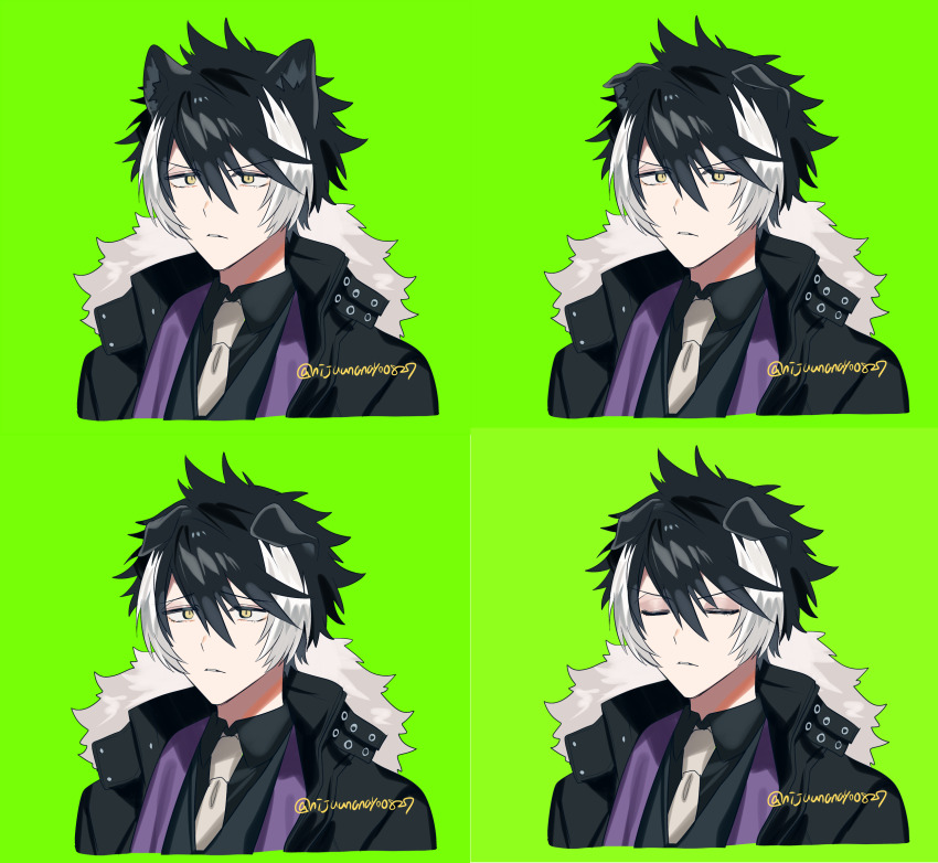 1boy animal_ear_fluff animal_ears black_hair black_jacket black_shirt closed_eyes collared_shirt cropped_torso ears_down fur-trimmed_jacket fur_trim green_background grey_necktie hair_between_eyes highres holostars jacket kageyama_shien male_focus multicolored_hair multiple_views necktie ninahachi open_clothes open_jacket parted_lips shirt simple_background streaked_hair twitter_username upper_body v-shaped_eyebrows virtual_youtuber white_hair yellow_eyes