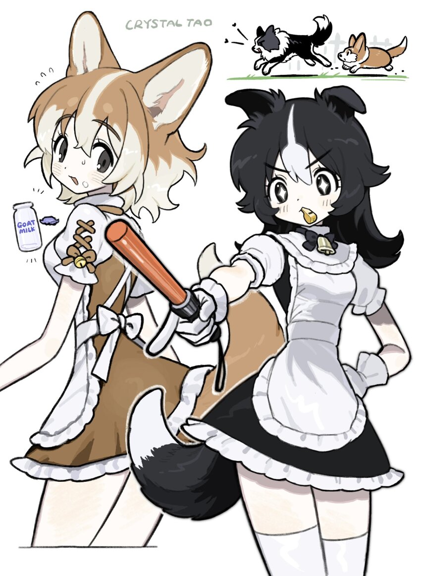 +_+ 2girls animal animal_ears apron black_eyes black_hair bottle brown_dress brown_hair commentary cowboy_shot dog dog_ears dog_girl dog_tail dress food food_on_face gloves hand_on_own_hip highres holding_baton long_hair looking_at_viewer milk milk_bottle mouth_hold multiple_girls original puffy_short_sleeves puffy_sleeves short_hair short_sleeves simple_background sparkling_eyes symbol-only_commentary tail taonoinu thighhighs whistle white_apron white_background white_gloves white_thighhighs