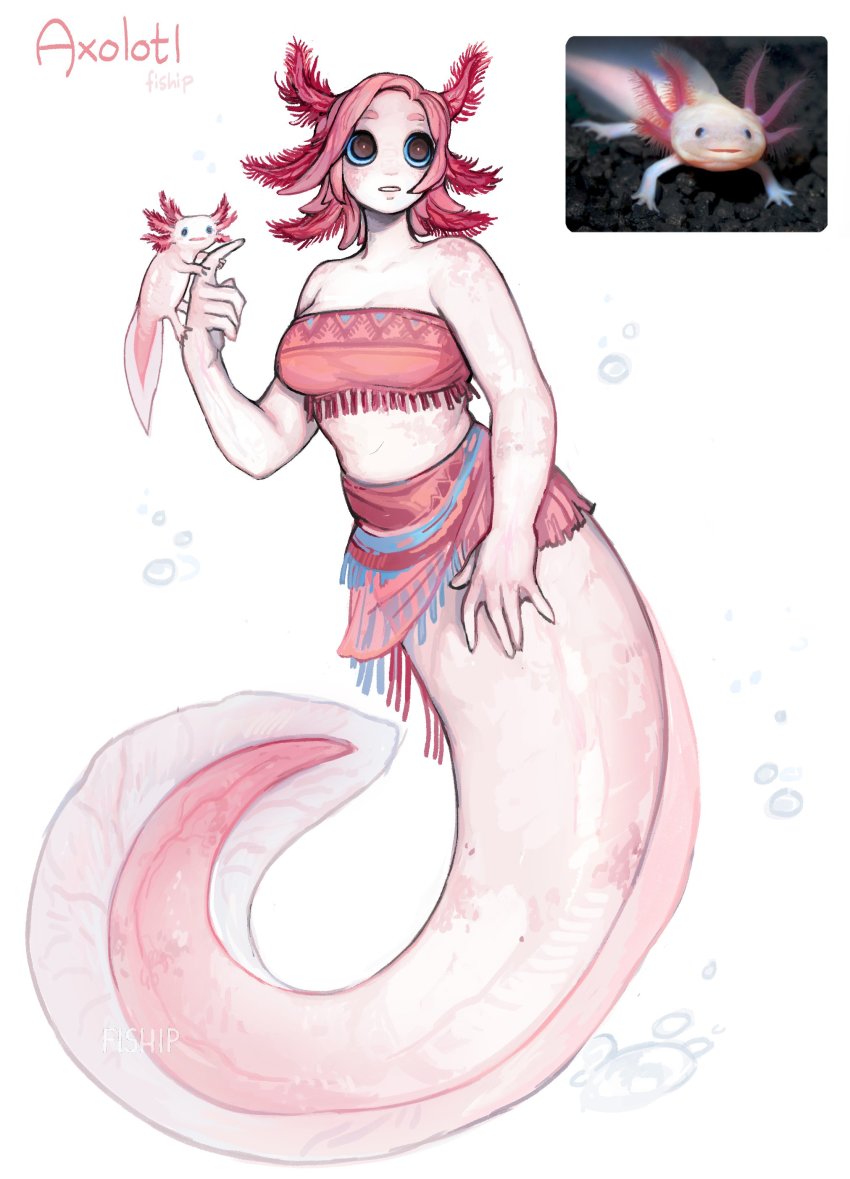 1girl absurdres air_bubble artist_name axolotl axolotl_girl bare_arms bare_shoulders breasts brown_eyes bubble colored_skin commentary creature_and_personification english_commentary full_body highres looking_away matilda_fiship medium_breasts mermaid midriff monster_girl original parted_lips personification pink_hair reference_inset sarong short_hair simple_background solo white_background white_skin