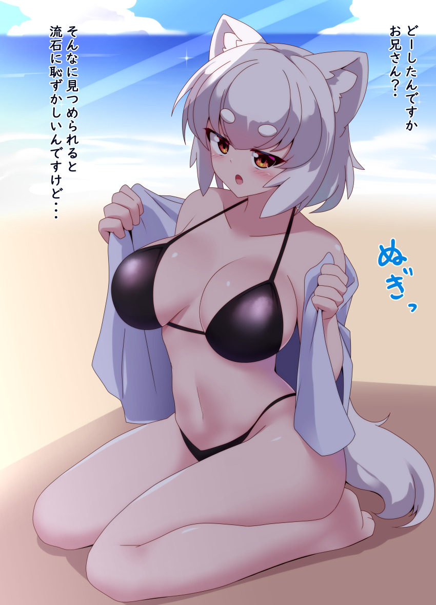 1girl absurdres animal_ear_fluff animal_ears beach bikini black_bikini blush breasts cleavage collarbone commentary_request full_body highres inubashiri_momiji large_breasts looking_at_viewer navel ocean open_clothes open_mouth orange_eyes outdoors seiza shirt short_hair sitting sivamaron sky solo swimsuit tail thick_eyebrows touhou translation_request white_hair white_shirt wolf_ears wolf_girl wolf_tail