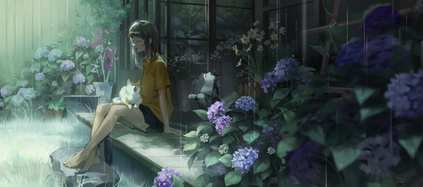 1girl absurdres barefoot blue_flower cat closed_eyes crossed_ankles flower full_body grass highres hydrangea leaf long_hair mole mole_under_eye open_mouth original outdoors plant potted_plant purple_flower rain sanse_(sssei_33) shirt short_hair shorts sitting solo veranda yellow_shirt