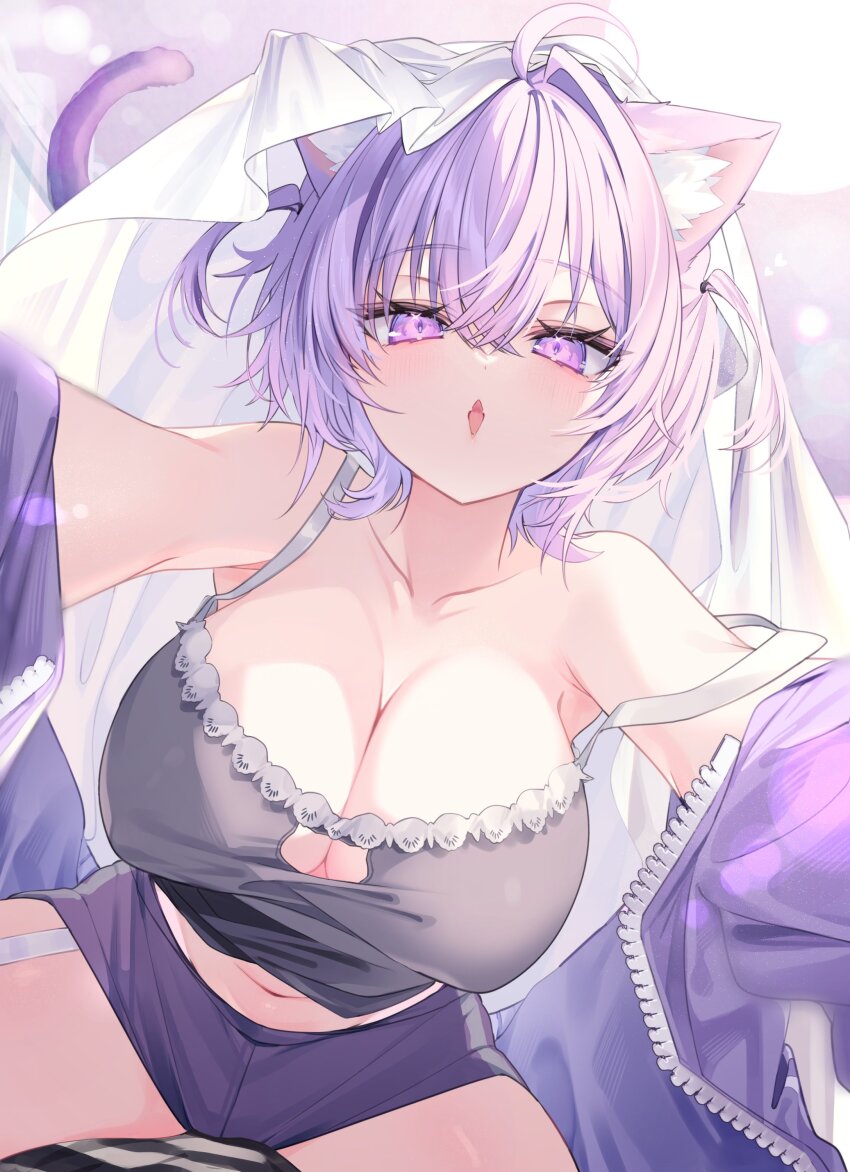1girl 1other absurdres ahoge animal_ear_fluff animal_ears breasts camisole cat_cutout cat_ears cat_girl cat_tail cleavage cleavage_cutout clothing_cutout collar commentary_request covered_erect_nipples crossed_bangs double-parted_bangs garter_straps girl_on_top grey_camisole hair_between_eyes highres hololive indoors jacket large_breasts looking_at_viewer medium_hair messy_hair midriff muzin_chan navel nekomata_okayu nekomata_okayu_(membership) off_shoulder official_alternate_costume official_alternate_hairstyle open_clothes open_jacket pov purple_eyes purple_hair purple_jacket purple_shorts short_hair shorts single_garter_strap solo_focus strap_slip tail tongue tongue_out two_side_up under_covers virtual_youtuber white_collar