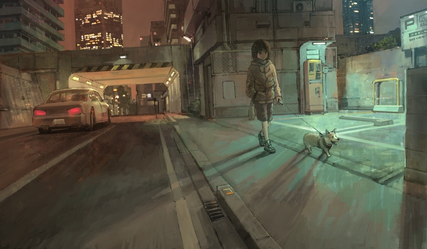 1girl animal brown_hair car city dog hand_in_pocket hood hoodie jacket motor_vehicle night original outdoors road short_hair slice_of_life street tokunaga_akimasa urban walking welsh_corgi