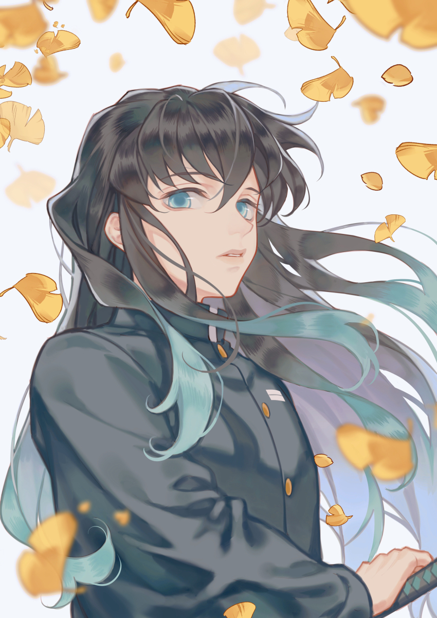 1boy absurdres aqua_eyes aqua_hair black_hair blurry demon_slayer_uniform depth_of_field expressionless ginkgo_leaf highres holding holding_sword holding_weapon jacket japanese_clothes kimetsu_no_yaiba leaf long_hair long_sleeves looking_at_viewer looking_to_the_side multicolored_hair parted_lips rosa_(user_hrem8745) solo sword tokitou_muichirou two-tone_hair weapon white_background