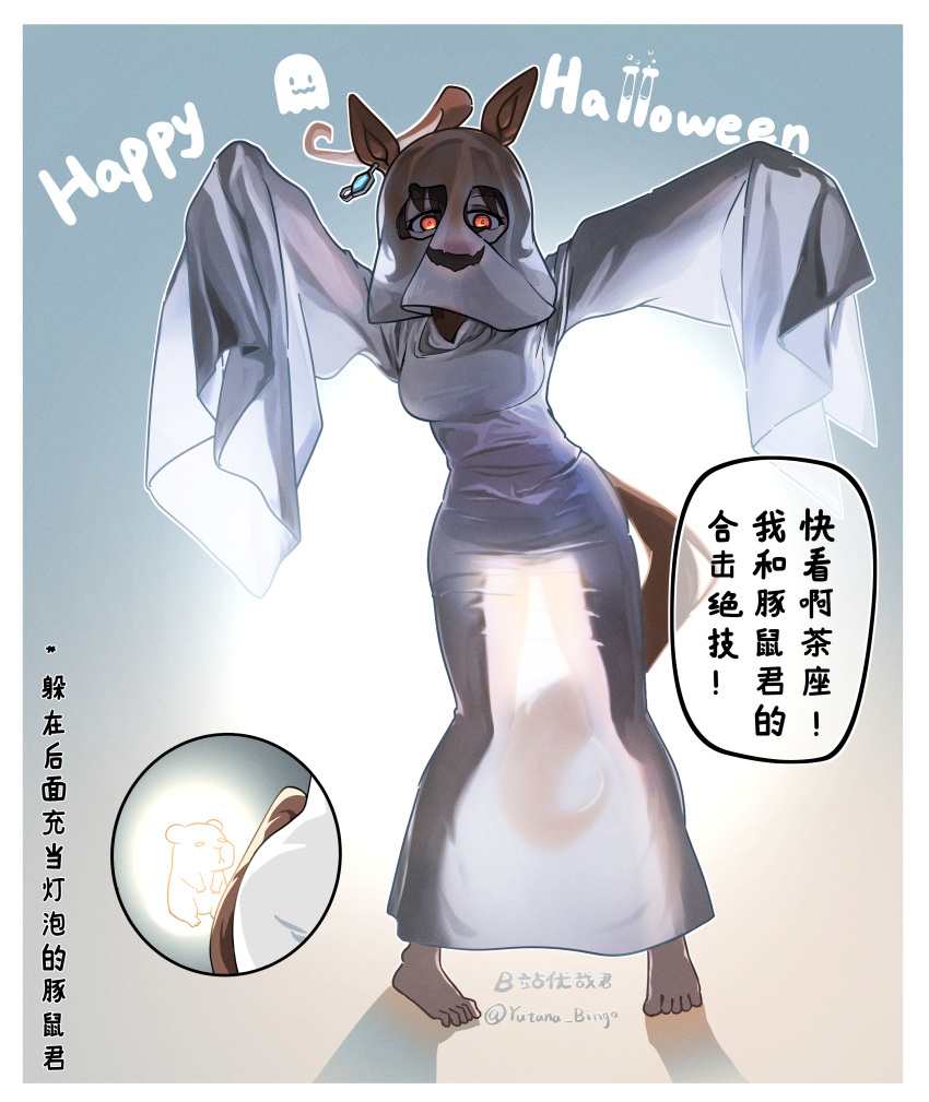 1girl absurdres agnes_tachyon_(umamusume) ahoge animal_ears animalization backlighting barefoot bilibili_username brown_eyes brown_hair commentary crazy_eyes earrings ears_through_hood english_text full_body ghost_costume glowing gradient_background grey_background guinea_pig haihara_yuuya halloween halloween_costume happy_halloween highres horse_ears horse_girl horse_tail huge_ahoge jewelry long_sleeves looking_at_viewer mixed-language_text pigeon-toed robe shadow single_earring sleeves_past_fingers sleeves_past_wrists tail test_tube translation_request translucent twitter_username umamusume white_hood white_robe