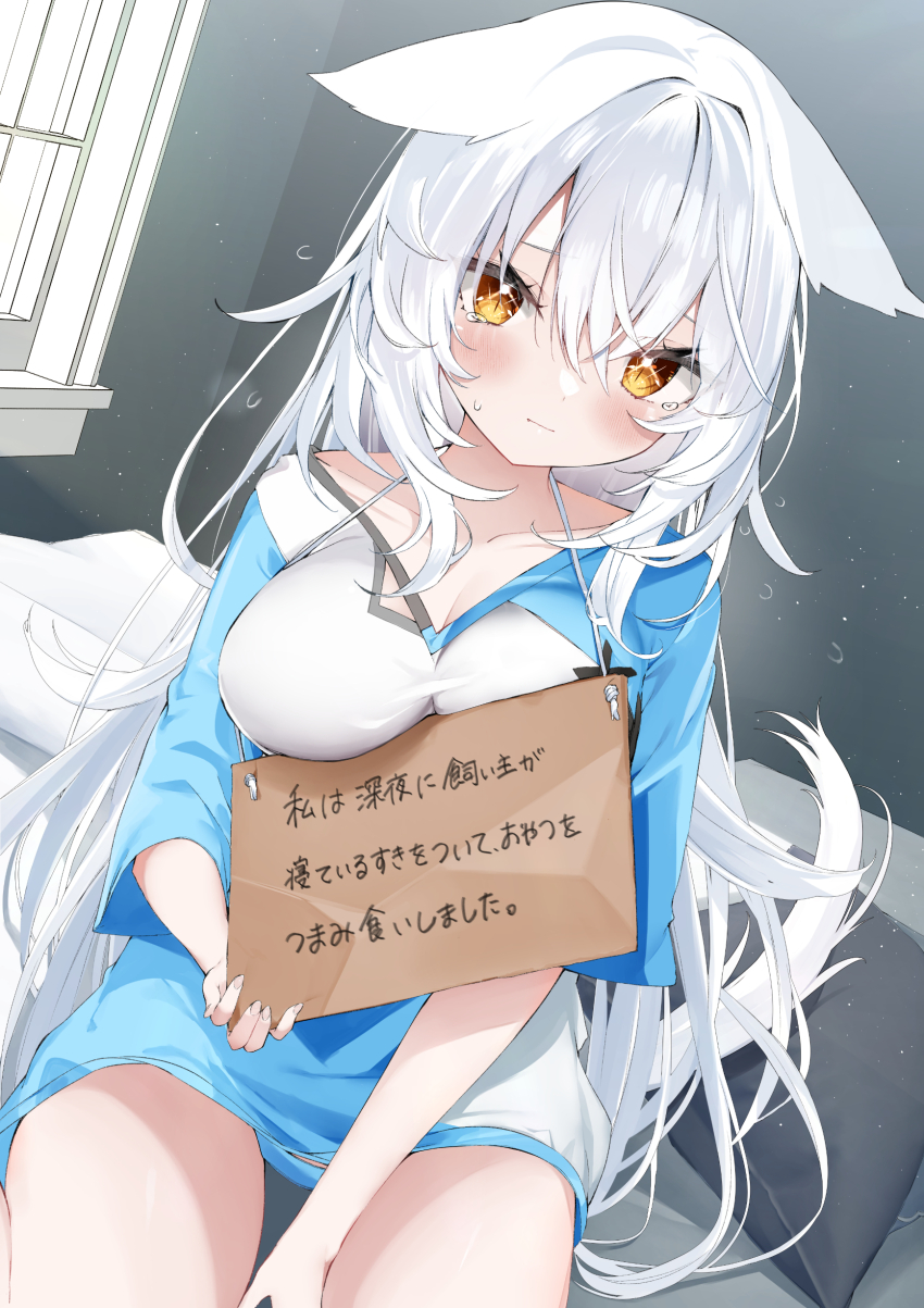 1girl absurdres animal_ears blue_shirt breasts brown_eyes cat_ears cat_girl cat_tail cleavage closed_mouth commentary_request hair_between_eyes highres indoors kamioka_shun&#039;ya large_breasts long_hair long_sleeves looking_at_viewer original pet_shaming pillow shirt sign sign_around_neck sitting solo sweat tail very_long_hair white_hair window
