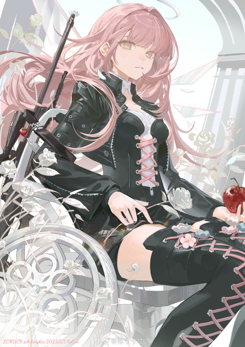 1girl apple arknights artist_name black_jacket black_shorts black_thighhighs boots breasts dated dated_commentary energy_wings english_text engrish_text flower food fruit halo highres holding holding_food holding_fruit jacket kilo_weibo lemuen_(arknights) long_hair long_sleeves looking_at_viewer open_clothes open_jacket orange_eyes pink_hair ranguage rose shorts sitting solo sword thigh_boots thighhighs watermark weapon weibo_username weibo_watermark white_flower white_halo white_rose wings