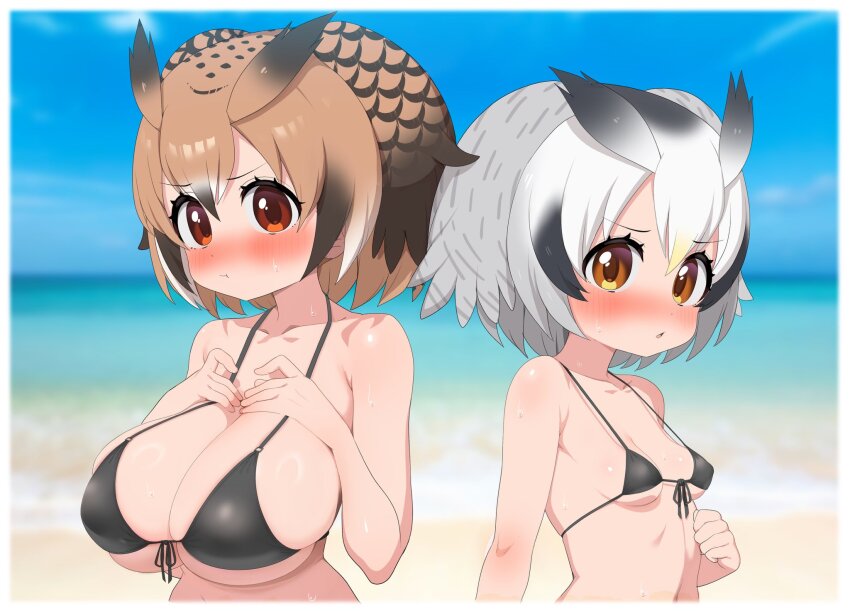2girls :t animal_ears beach bikini bird_tail black_bikini black_hair blush breasts brown_eyes brown_hair cleavage commentary eurasian_eagle_owl_(kemono_friends) front-tie_bikini_top front-tie_top grey_hair hair_between_eyes head_wings highres huge_breasts kemono_friends looking_at_viewer multicolored_hair multiple_girls northern_white-faced_owl_(kemono_friends) open_mouth owl_ears pout ransusan short_hair small_breasts swimsuit tail white_hair wings