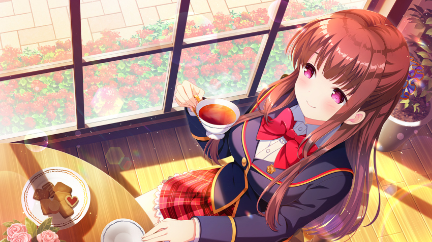 1girl amatsu_kanata blue_jacket bow bowtie brown_hair chair closed_mouth flower girlfriend_(kari) hair_ornament hair_scrunchie jacket long_hair looking_at_viewer official_art pink_flower pink_rose plaid_clothes plaid_skirt qp:flapper red_bow red_eyes red_skirt rose school_uniform scrunchie shirt sitting skirt solo sunset table tea tea_cup thighhighs white_shirt white_thighhighs window zettai_ryouiki
