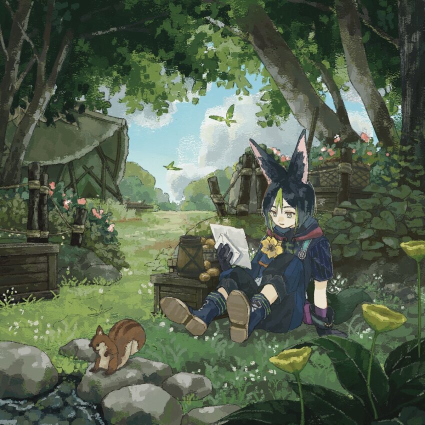 1boy animal_ears black_gloves black_hair box cloud commentary_request crystalfly_(genshin_impact) day envelope flower forest fox_boy fox_ears fox_tail genshin_impact gloves grass highres hishida_(koko_escape) holding holding_envelope hood hood_down leaf male_focus medal multicolored_hair nature outdoors rock sitting sky squirrel tail tent tighnari_(genshin_impact) tree water yellow_flower