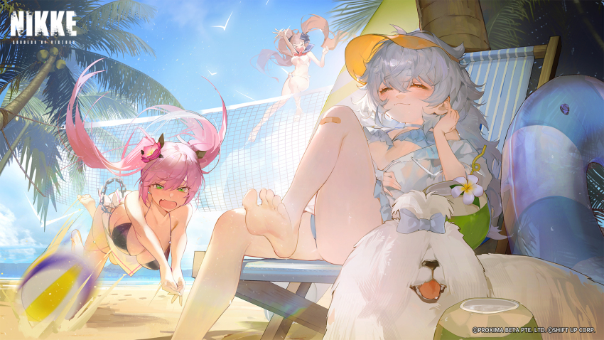3girls a.c.p.u._(nikke) artist_request ball bandaid bandaid_on_knee bandaid_on_leg beach beach_volleyball bikini blush breasts brown_hair cavehuuu coconut coconut_cup day dog drinking_straw fang fruit_cup goddess_of_victory:_nikke green_eyes hair_ornament hat highres jumping large_breasts long_hair miranda_(nikke) multiple_girls navel neckerchief net open_mouth outdoors palm_tree pink_hair playing_sports poli_(nikke) police police_uniform policewoman quiry_(nikke) sailor_collar sand small_breasts smile swimsuit tree twintails very_long_hair volleyball volleyball_(object) volleyball_net white_hair