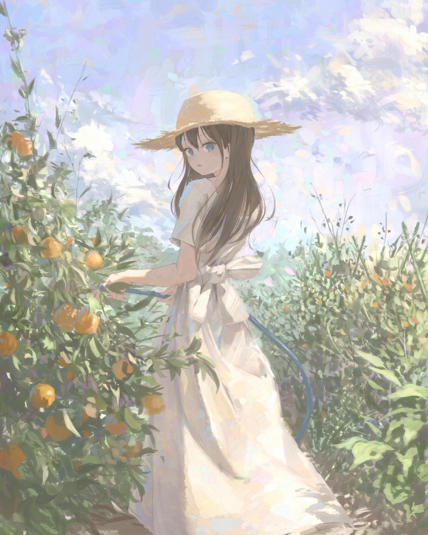 1girl absurdres black_hair blue_eyes cloud cloudy_sky deatte_4-kounen_de_gattai dress food fruit highres hose kinakojojo long_dress looking_back orange_(fruit) orange_tree outdoors parted_lips short_sleeves sky solo standing turning_head watering white_dress