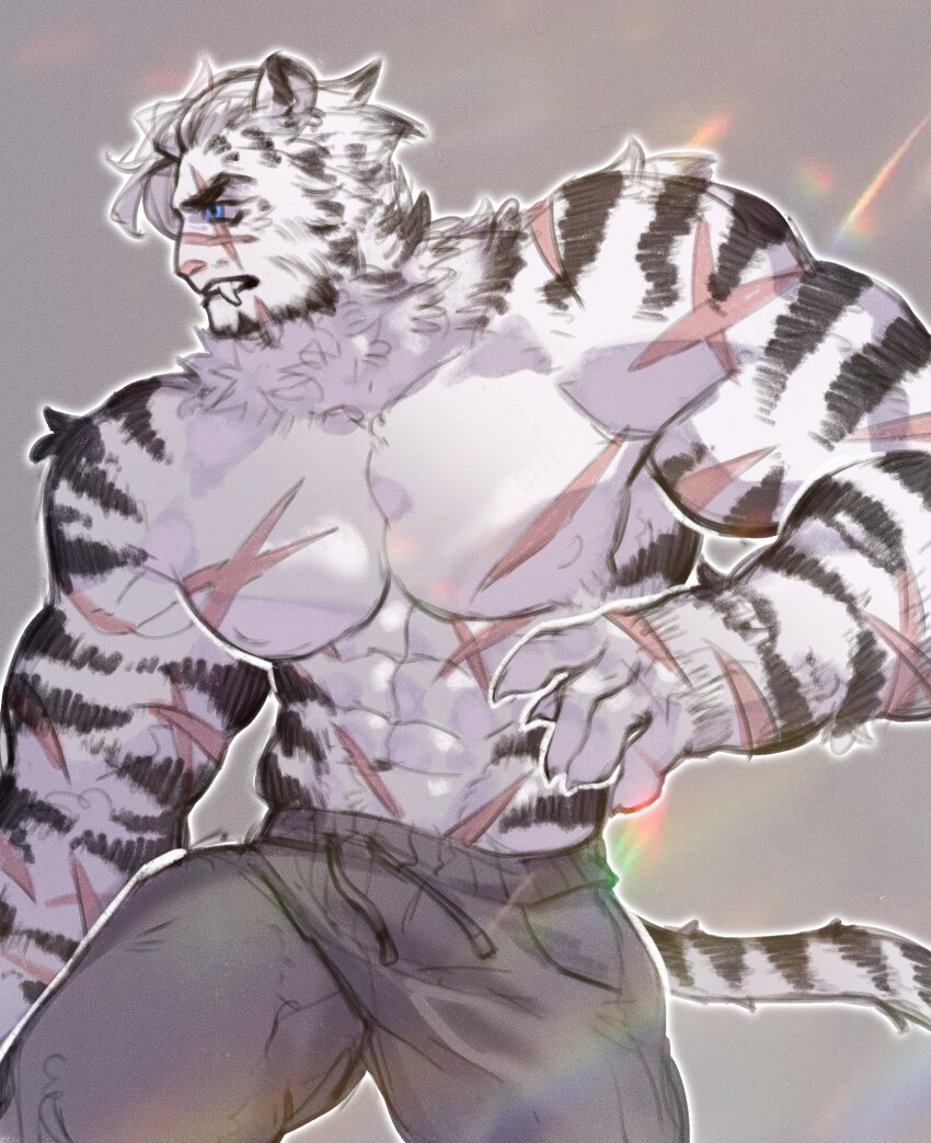 1boy abs animal_ears arknights bara clenched_teeth commentary cross_scar english_commentary fang furry furry_male grey_pants highres male_focus mountain_(arknights) multiple_scars muscular muscular_male navel nipples pants pectorals scar scar_across_eye scar_on_arm scar_on_chest scar_on_face scar_on_nose scar_on_stomach tail teeth tiger_boy tiger_ears tiger_stripes tiger_tail topless_male turro0on