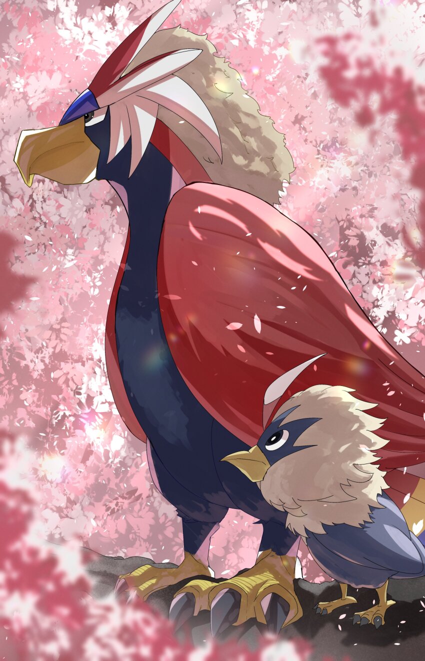 absurdres animal_focus beak bird black_eyes blurry blurry_foreground braviary bright_pupils cherry_blossoms commentary day evolutionary_line falling_petals from_side gen_5_pokemon highres nintendo no_humans outdoors petals pokemon pokemon_(creature) rufflet talons white_pupils zeroartwo