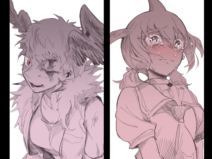 2girls black_border blood blood_on_face blue_eyes blush border brown_eyes chinese_white_dolphin_(kemono_friends) closed_mouth crying crying_with_eyes_open dorsal_fin fins fur_collar gm_(ggommu) head_fins head_wings highres injury kemono_friends kemono_friends_3 lappet-faced_vulture_(kemono_friends) long_hair looking_at_viewer multiple_girls one_eye_closed open_clothes open_mouth open_vest shirt short_hair tears twintails upper_body vest wings