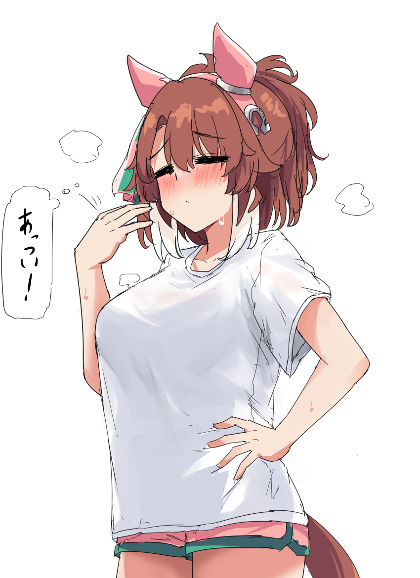 1girl absurdres animal_ears bow brown_hair closed_eyes closed_mouth commentary_request dantsu_flame_(umamusume) ear_covers ear_ribbon gryebooks highres horse_ears horse_girl horse_tail multicolored_hair shirt short_hair simple_background solo tail two-tone_hair umamusume white_background white_hair white_shirt