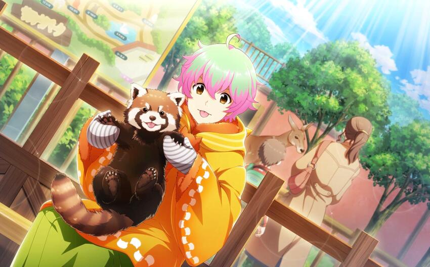 1girl 2boys ahoge animal_hands bag brown_eyes brown_hair child coat green_hair handbag highres hood hoodie idolmaster idolmaster_side-m idolmaster_side-m_live_on_stage! kangaroo mittens multicolored_hair multiple_boys nekoyanagi_kirio official_art outdoors pink_hair ponytail raccoon raccoon_tail school_bag sky tail tongue tongue_out tree