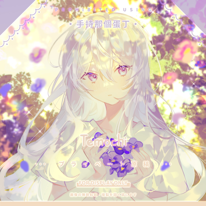 1girl absurdres artist_name bush chinese_commentary commentary_request commission day expressionless eyelashes flower gradient_eyes grey_eyes hair_between_eyes highres holding holding_flower long_hair long_sidelocks looking_at_viewer morning multicolored_eyes original outdoors pansy parted_lips petals purple_eyes purple_flower sample_watermark shirt short_sleeves shouchi_nage_danding sidelocks solo sunlight t-shirt too_many_watermarks upper_body very_long_hair watermark wavy_hair white_hair white_shirt