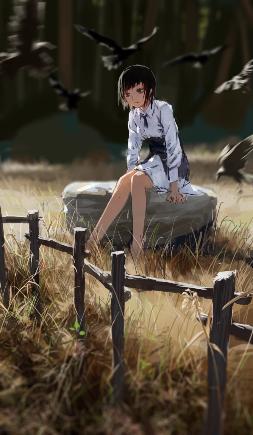 1girl barefoot bird black_eyes black_hair blurry crow depth_of_field dress female_focus fence field grass highres nature neck_ribbon original outdoors raven ribbon rock scenery short_dress short_hair sitting sketch smile solo tree treeware underbust