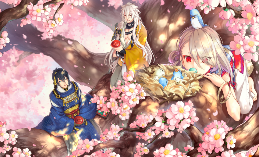10s 3boys animal animal_on_head armor bird bird_on_head black_hair blue_eyes cherry_blossoms cup dango egg eyes_visible_through_hair food hair_over_one_eye highres ima-no-tsurugi in_tree japanese_armor japanese_clothes kingchenxi kogitsunemaru lying male_focus mikazuki_munechika multiple_boys nest on_head on_stomach petals red_eyes sakazuki sanshoku_dango sayagata shoulder_armor sitting smile sode touken_ranbu tree wagashi white_hair