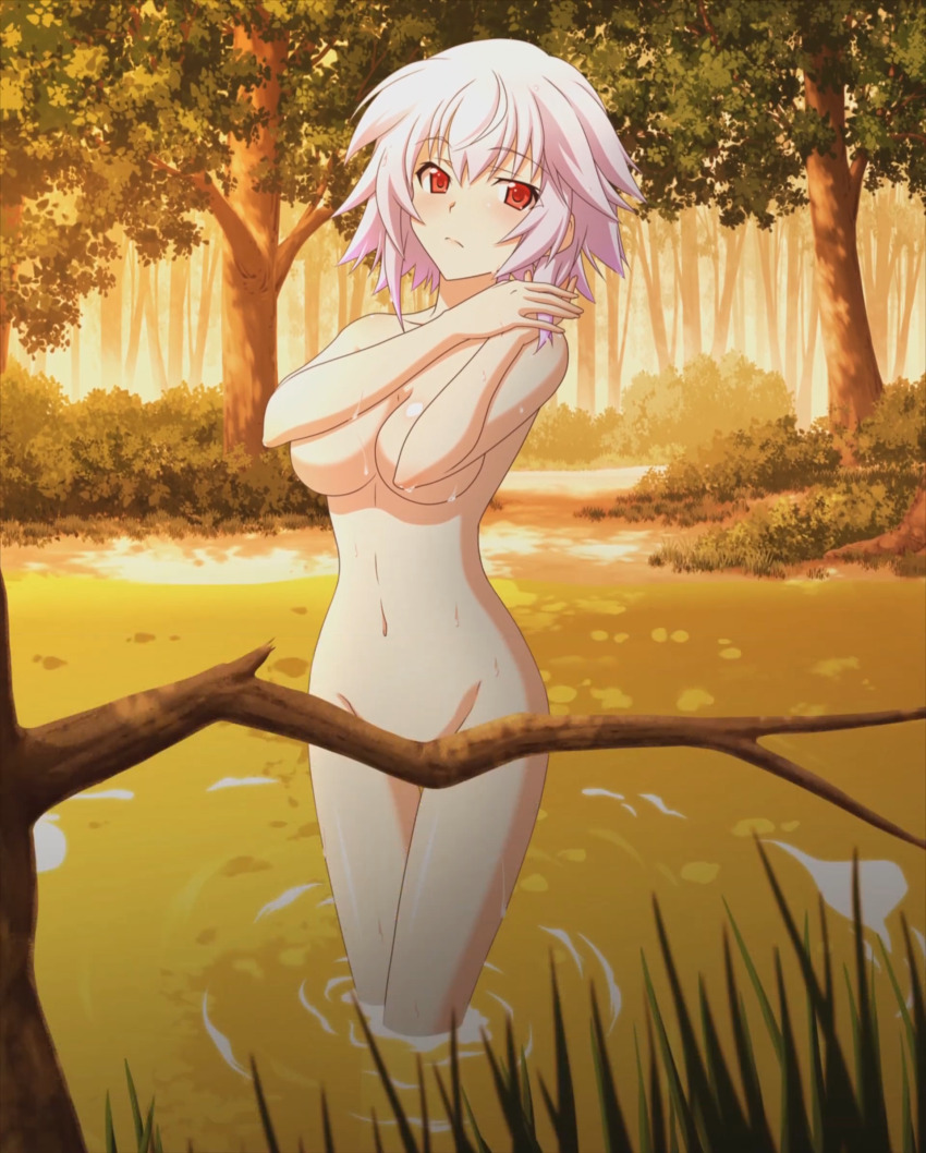 1girl bathing blue_hair blush breasts convenient_censoring covering_privates covering_breasts game_cg highres infinite_stratos large_breasts legs nature navel nude red_eyes sarashiki_tatenashi short_hair stitched thighs third-party_edit water