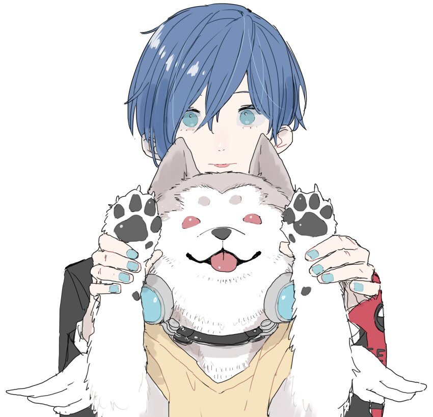 1boy absurdres animal armband black_jacket blue_eyes blue_hair blue_nails collar dog fake_wings gekkoukan_high_school_uniform hair_between_eyes highres jacket koromaru_(persona) long_sleeves looking_at_viewer male_focus meimei_hituzi persona persona_3 persona_3_reload red_armband red_eyes school_uniform short_hair straight-on tongue tongue_out upper_body white_background wings yuuki_makoto_(persona_3)