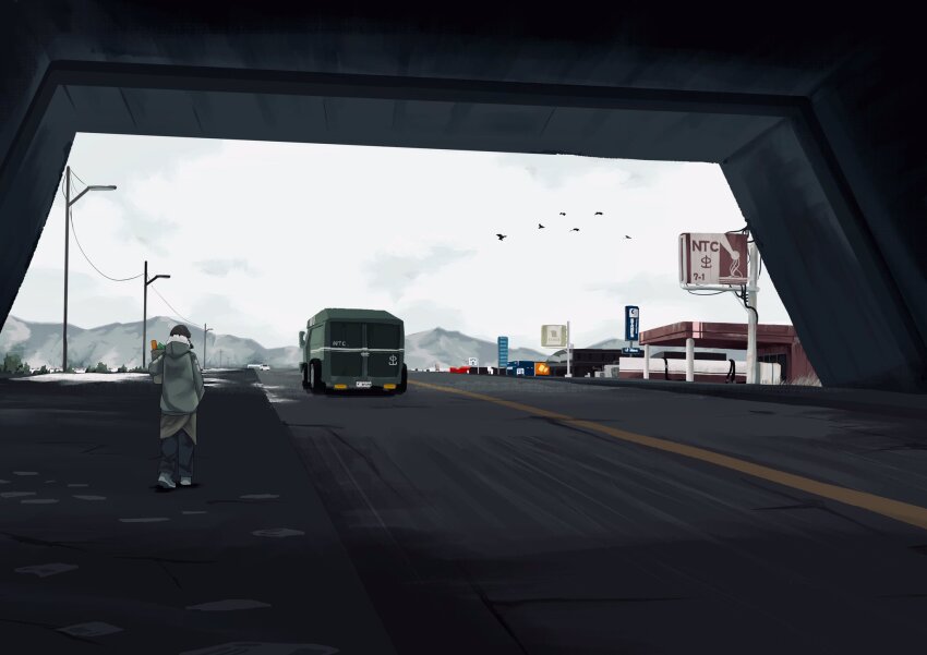 1girl bag bird box_truck facing_away fur-trimmed_jacket fur_trim gas_station highres holding holding_bag hood hood_down jacket lamppost motor_vehicle mountain original outdoors overcast overpass pants power_lines road scenery sign sky solo truck walking wide_shot winter yoshiryuu