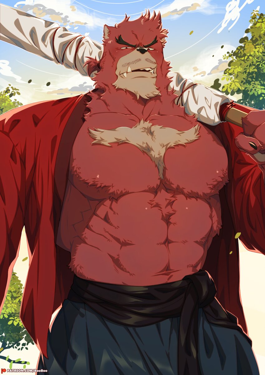 1boy abs absurdres bakemono_no_ko bara belt black_belt blue_pants booboo_(19816236) chest_fur commentary english_commentary fangs furry furry_male highres holding holding_weapon kumatetsu looking_at_viewer male_focus muscular muscular_male open_mouth pants patreon_logo patreon_username pectorals red_fur red_happi shinai sword weapon weapon_bag