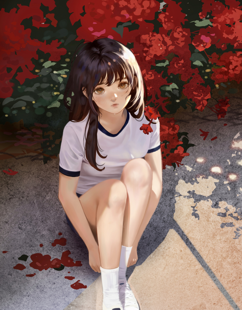 1girl ankle_socks bare_arms brown_eyes brown_hair bush closed_mouth expressionless eyelashes flower full_body highres knees knees_up light_blush light_rays lips long_hair original petals pink_lips red_flower shadow shirt shoes short_sleeves single_sidelock sitting sneakers socks solo sportswear sunlight t-shirt thick_eyebrows white_shirt white_shoes white_socks youlizi-yuri
