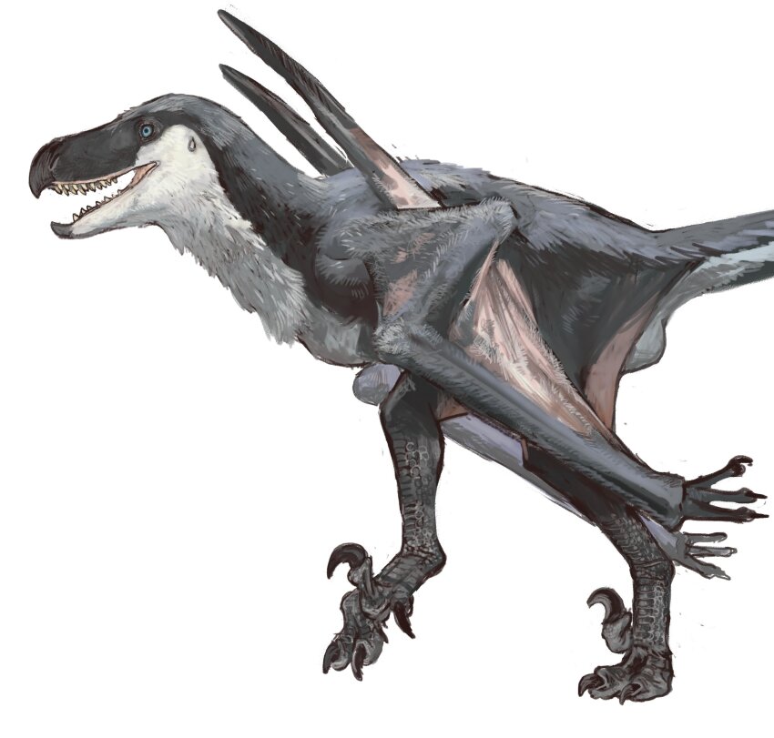 absurdres beak claws dinosaur dinosaur_tail feathered_dinosaur highres jurassic_world:_rebirth mossacannibalis mutation no_humans prehistoric_animal raptor tail talons white_background wings