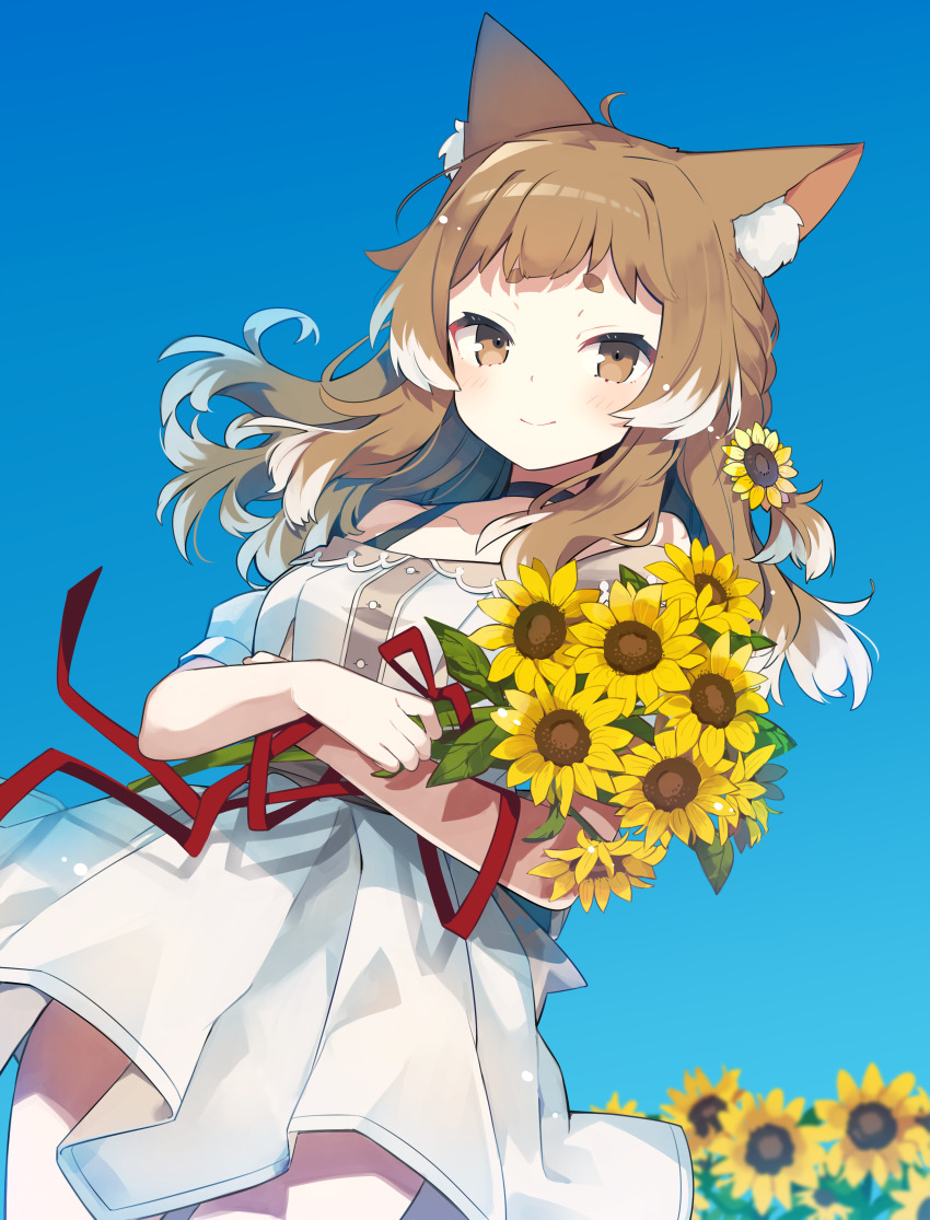1girl absurdres animal_ear_fluff animal_ears bare_legs black_choker blonde_hair blue_sky borrowed_character bouquet braid breasts brown_eyes brown_hair brown_trim carrying carrying_under_arm cat_ears choker closed_mouth colored_tips commission cowboy_shot crossed_wrists day detached_sleeves dot_nose dress dutch_angle floating_hair flower hair_flower hair_ornament hand_on_own_arm highres hikimayu holding holding_bouquet light_smile long_hair looking_at_viewer multicolored_hair off-shoulder_dress off_shoulder one_side_up original outdoors raised_eyebrows red_ribbon ribbon second-party_source short_bangs short_eyebrows short_sleeves side_braid sky small_breasts solo standing sunflower sunflower_hair_ornament two-tone_hair underwear white_dress white_hair wind yuzuki_gao