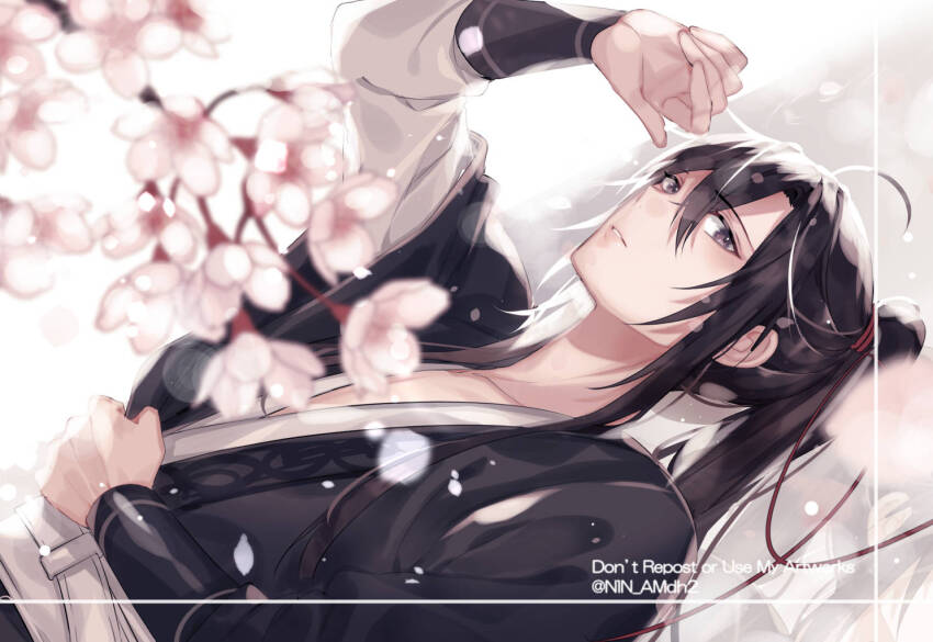 1boy ahoge arm_up bishounen black_eyes black_hair black_hanfu blurry branch cherry_blossoms chinese_clothes english_text falling_petals flower hair_between_eyes hair_ribbon hanfu hyottokoane light_particles long_hair long_sleeves looking_at_viewer lying male_focus modao_zushi on_back parted_lips petals ponytail red_ribbon ribbon sidelocks solo twitter_username upper_body wei_wuxian