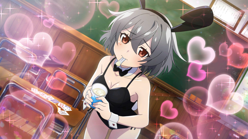 1girl animal_ears bag black_bow black_bowtie black_leotard bow bowtie brown_eyes bulletin_board chair chalkboard classroom cowboy_shot cup desk detached_collar dutch_angle eight_of_hearts fake_animal_ears fake_tail four_of_spades game_cg grey_hair heart highres higurashi_no_naku_koro_ni higurashi_no_naku_koro_ni_mei holding holding_cup ice_cream_cup ice_cream_spoon indoors kimiyoshi_kazuho leaning_forward lens_flare leotard mouth_hold nine_of_clubs non-circular_lens_flare non-web_source official_art playboy_bunny rabbit_ears rabbit_tail school_bag school_chair school_desk short_hair shy six_of_diamonds solo sparkle spoon standing tail ten_of_diamonds textbook two_of_clubs wooden_floor wrist_cuffs