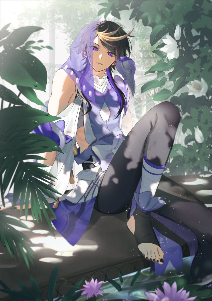 1boy black_hair blonde_hair highres long_hair male_focus multicolored_hair nijisanji nijisanji_en purple_eyes shu_yamino shu_yamino_(1st_costume) snake solo streaked_hair toeless_legwear tsugu_(tsugu_823) virtual_youtuber