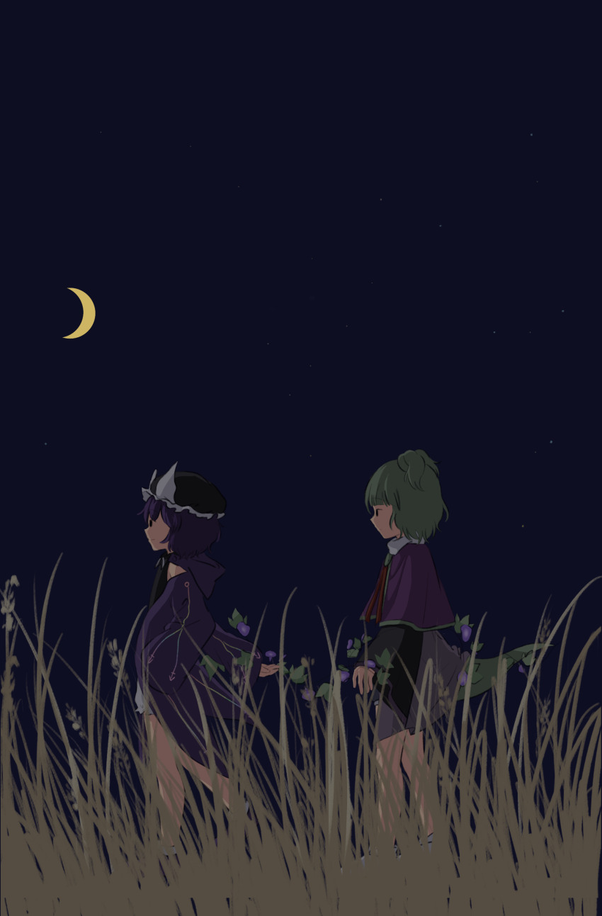 2others absurdres adagumo_no_saragimaru androgynous baila_kuangzi black_eyes black_headwear black_shirt capelet chinese_commentary closed_mouth coat collared_shirt commentary_request crescent_moon detached_hood flower green_hair green_trim grey_shorts hat highres len&#039;en long_sleeves moon multiple_others night nightshade_(flower) open_clothes open_coat other_focus outdoors purple_capelet purple_coat purple_flower purple_hair purple_hood purple_trim shirt shitodo_kuroji short_hair shorts sleeveless sleeveless_shirt snake_tail split_ponytail tail triangular_headpiece white_shorts wide_sleeves