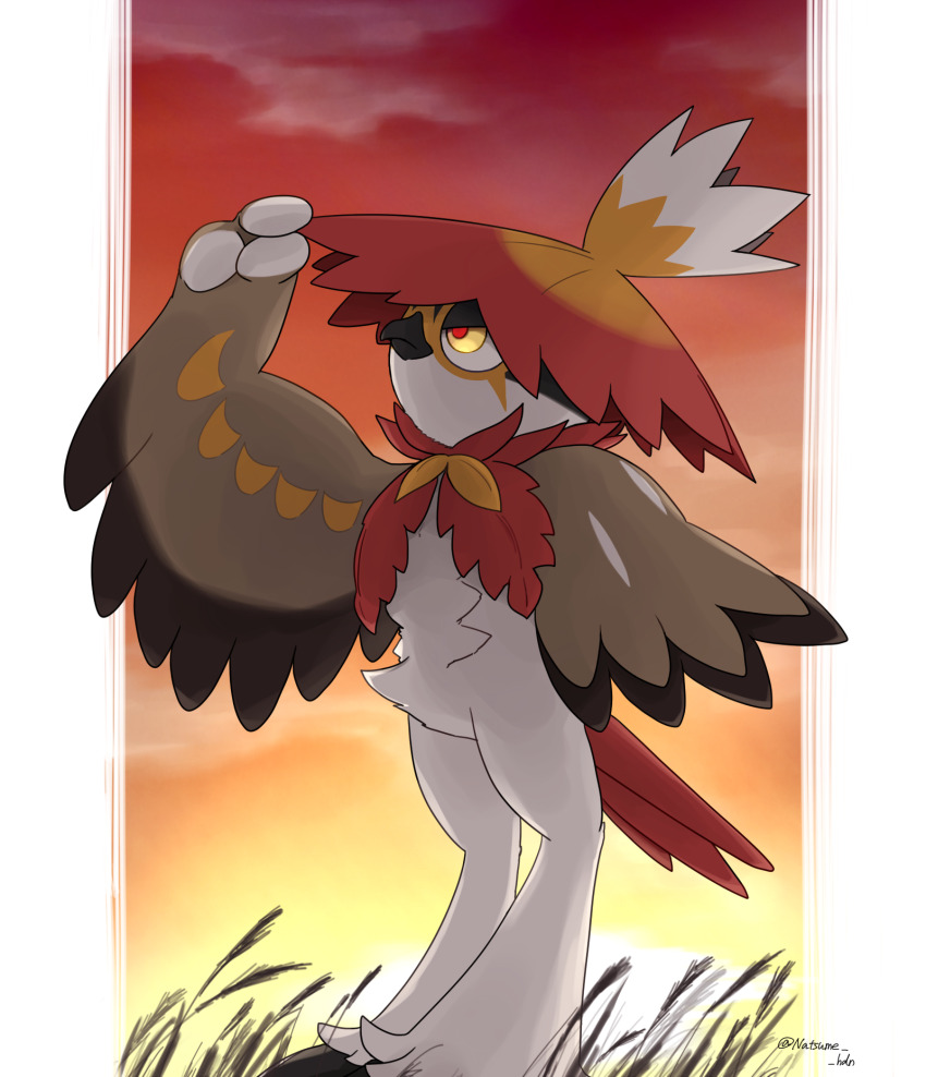 beak border commentary_request frown gradient_sky grass hidane_(natsume_hdn) highres hisuian_decidueye looking_up nintendo orange_sky pokemon pokemon_(creature) red_sky sky sunset twitter_username yellow_eyes yellow_sky