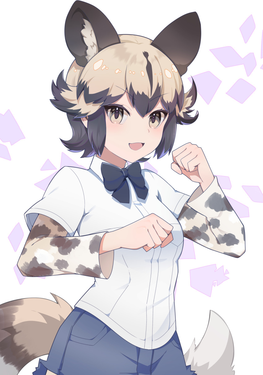 1girl african_wild_dog_(kemono_friends) animal_ears animal_print black_bow blonde_hair blue_shorts blush bow brown_hair collared_shirt commentary_request cowboy_shot denim denim_shorts dog_ears dog_girl dog_tail fighting_stance hair_between_eyes highres kemono_friends kemono_friends_3 long_sleeves looking_at_viewer multicolored_hair natuki_takumi open_mouth print_sleeves shirt short_hair short_shorts short_sleeves shorts sidelocks smile solo t-shirt tail two-tone_hair white_shirt yellow_eyes