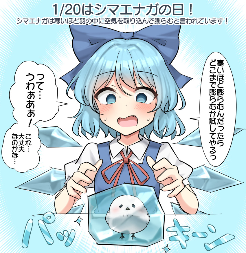 1girl absurdres bird blue_bow blue_dress blue_eyes blue_hair blush bow cirno collared_shirt commentary_request detached_wings dress frozen hair_bow highres ice ice_wings long-tailed_tit neck_ribbon open_mouth pinafore_dress puffy_short_sleeves puffy_sleeves red_ribbon ribbon shirt short_sleeves sleeveless sleeveless_dress solo speech_bubble sweat tit_(bird) touhou translation_request white_shirt wings youyume-kun