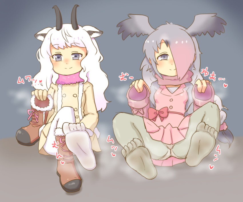 10s 2girls animal_ears bitashinmi blue_eyes boots feet grey_eyes grey_hair hair_over_one_eye holding holding_shoes holding_unworn_clothes horns kemono_friends long_hair looking_at_viewer multicolored_hair multiple_girls panties pantyshot pink-backed_pelican_(kemono_friends) shoes sitting smell smile snow_sheep_(kemono_friends) soles steam two-tone_hair underwear unworn_shoes wavy_hair white_hair