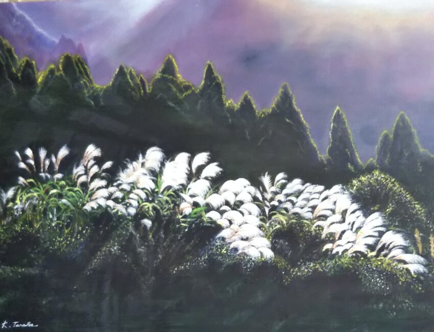 blue_sky cloud cloudy_sky dawn day grass highres kei52415743 no_humans oil_painting_(medium) original painting_(medium) plant plant_focus signature sky sky_focus sunlight susuki_grass traditional_media tree