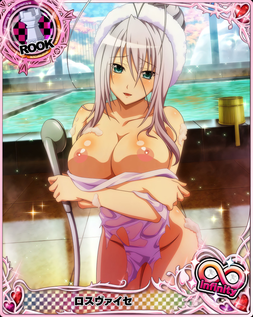 absurdres breasts card_(medium) green_eyes high_school_dxd highres large_breasts nipples nude nude_filter rossweisse third-party_edit