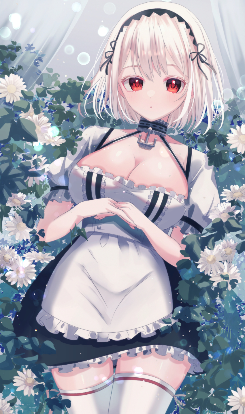 1girl absurdres anchor_choker apron azur_lane breasts choker collarbone cowboy_shot flower frilled_apron frilled_choker frills hair_between_eyes highres junineu large_breasts looking_at_viewer official_alternate_costume puffy_short_sleeves puffy_sleeves red_eyes short_hair short_sleeves sirius_(azur_lane) solo thighhighs white_apron white_flower white_hair white_thighhighs